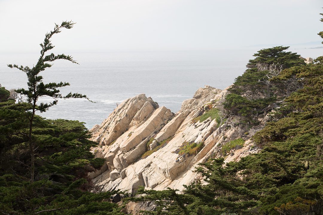 Photograph Image of Big Sur view with rocks trees and the Pacific Ocean
